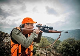 Así es la caza del jabalí libre de enfermedad: «Es el cuidado del campo, no el exterminio»