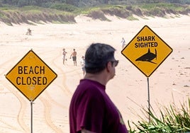 Cuatro ataques de tiburón en menos de 48 horas obligan a cerrar varias playas en Australia