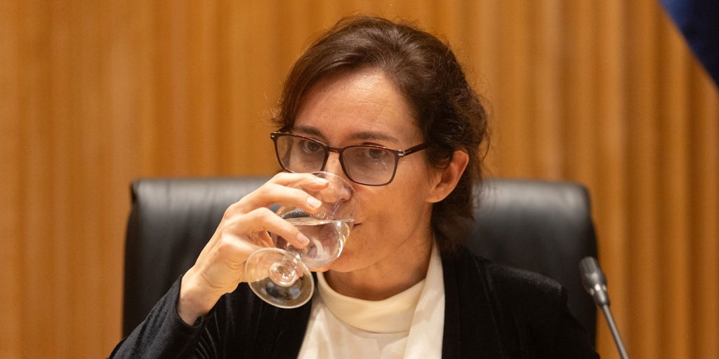 El Gobierno prohibirá el modelo público-privado del Hospital de Torrejón