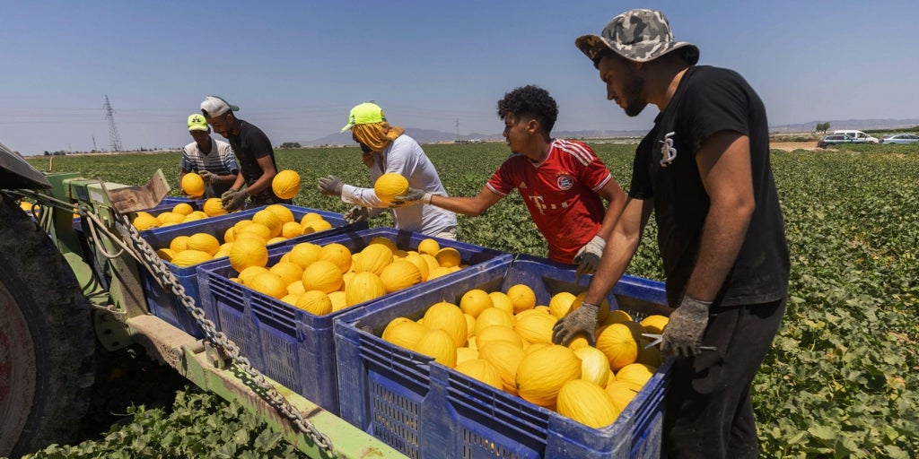 Diez millones de nacidos en el extranjero: «El problema de la vivienda nunca desaparecerá»