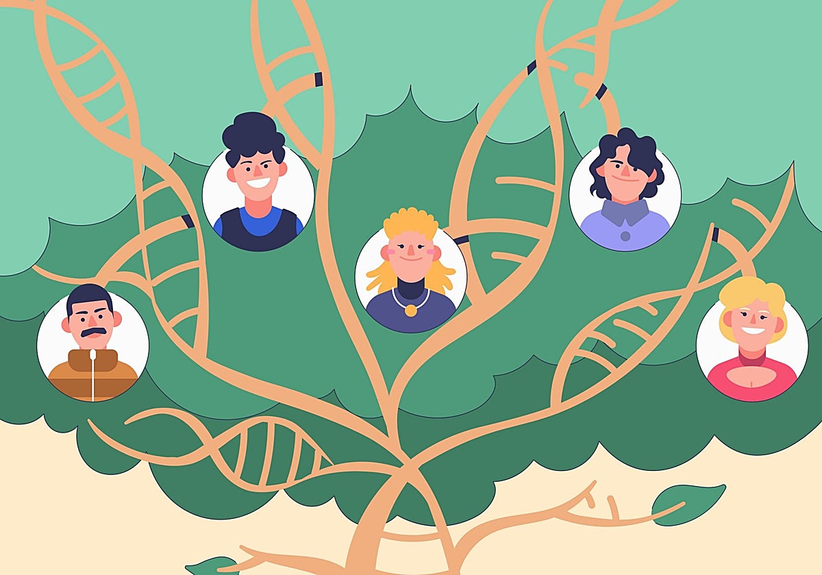 Según la teoría de su creador los problemas surgen cuando se rompen los «órdenes del amor» en la familia