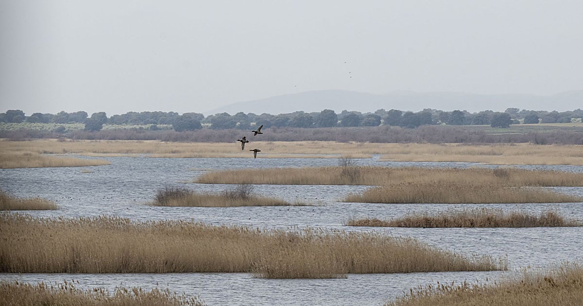 Leopoldo Sierra, alcalde de Daimiel:  «Se ha solucionado por las lluvias, no porque se haya tomado ninguna medida»