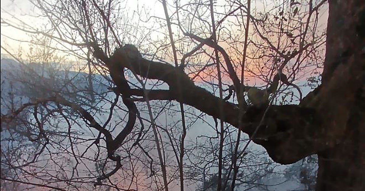 Decenas de incendios activos en Asturias y Cantabria en condiciones de alto riesgo