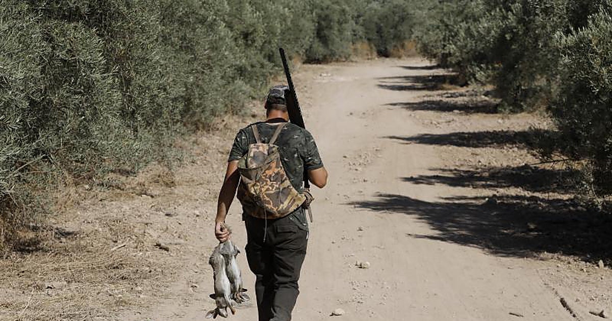 ¿Pasear por un coto de caza? La receta nórdica para acercar el campo a la ciudad en España