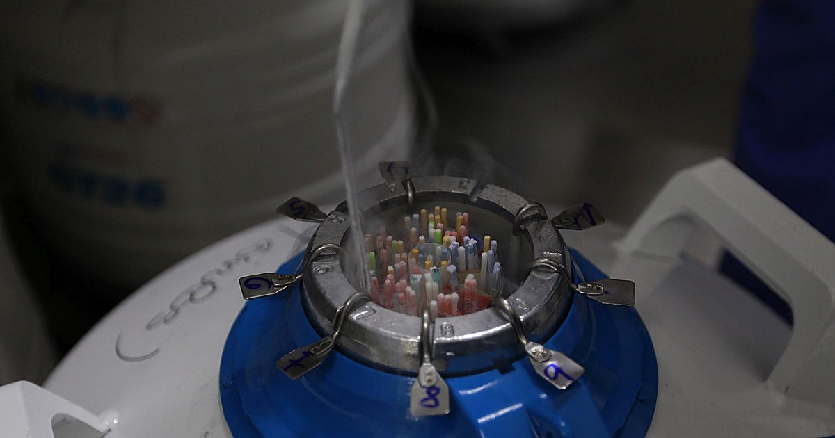 El Congreso aprueba legislar que el destino de los ovocitos lo decidan las mujeres