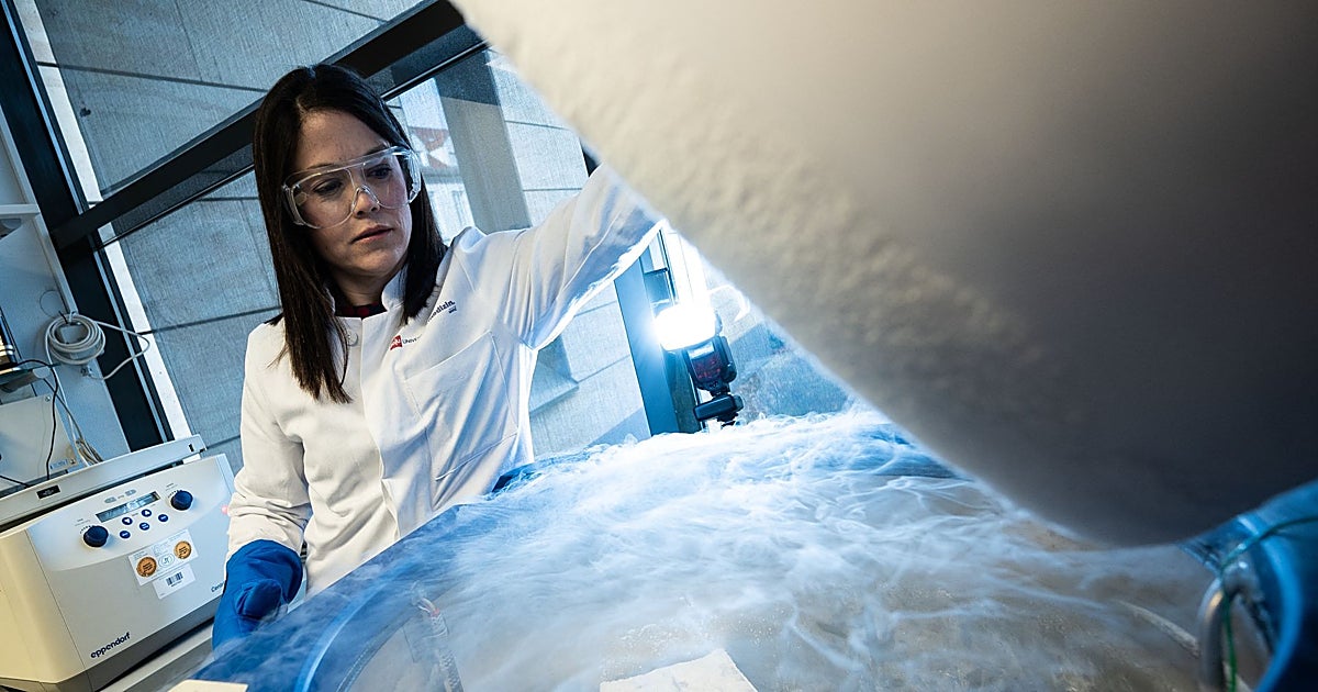 La ley de reproducción cambiará para acabar con el limbo de los óvulos y embriones congelados