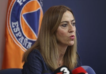 El protocolo para la evacuación del crucero: lo que se sabe de la repatriación de los viajeros