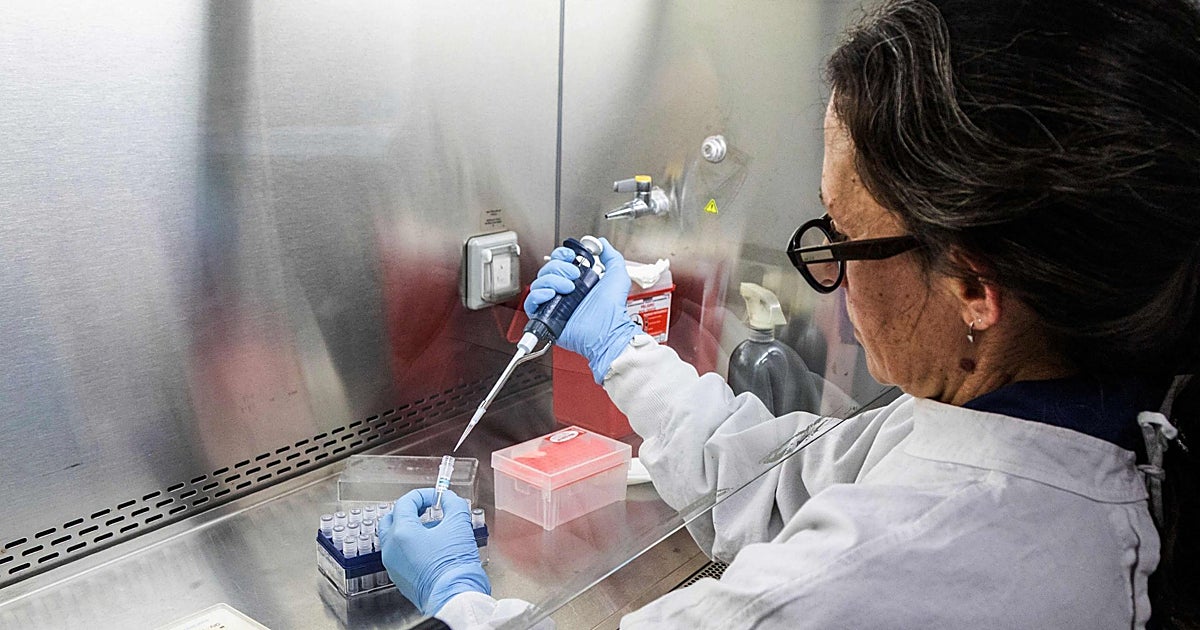 Científicos argentinos alertan del aumento del hantavirus: «No es solo en el sur»