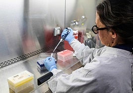 Científicos argentinos alertan del aumento del hantavirus: «No es solo en el sur»
