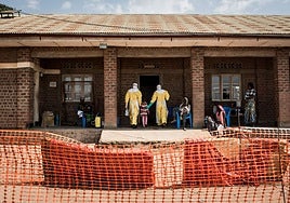 La OMS declara la emergencia global por una rara cepa de ébola que afecta al Congo y Uganda