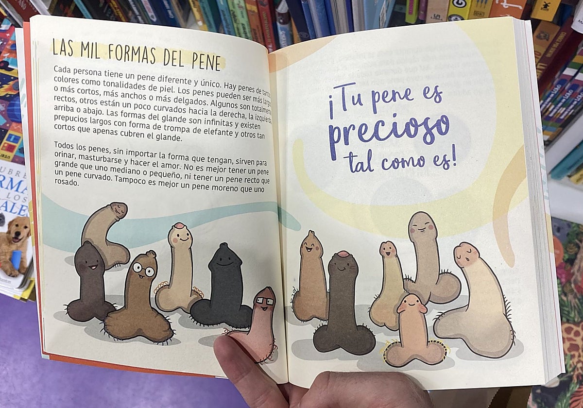 Una de las ilustraciones del manual dirigido al público infantil y adolescente.