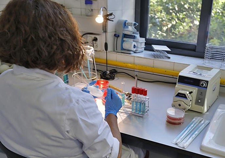 Sanidad amplía la alerta por presencia de listeria en varios quesos frescos vendidos en España