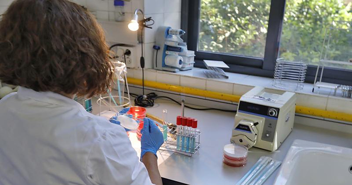 Sanidad amplía la alerta por presencia de listeria en varios quesos frescos vendidos en España