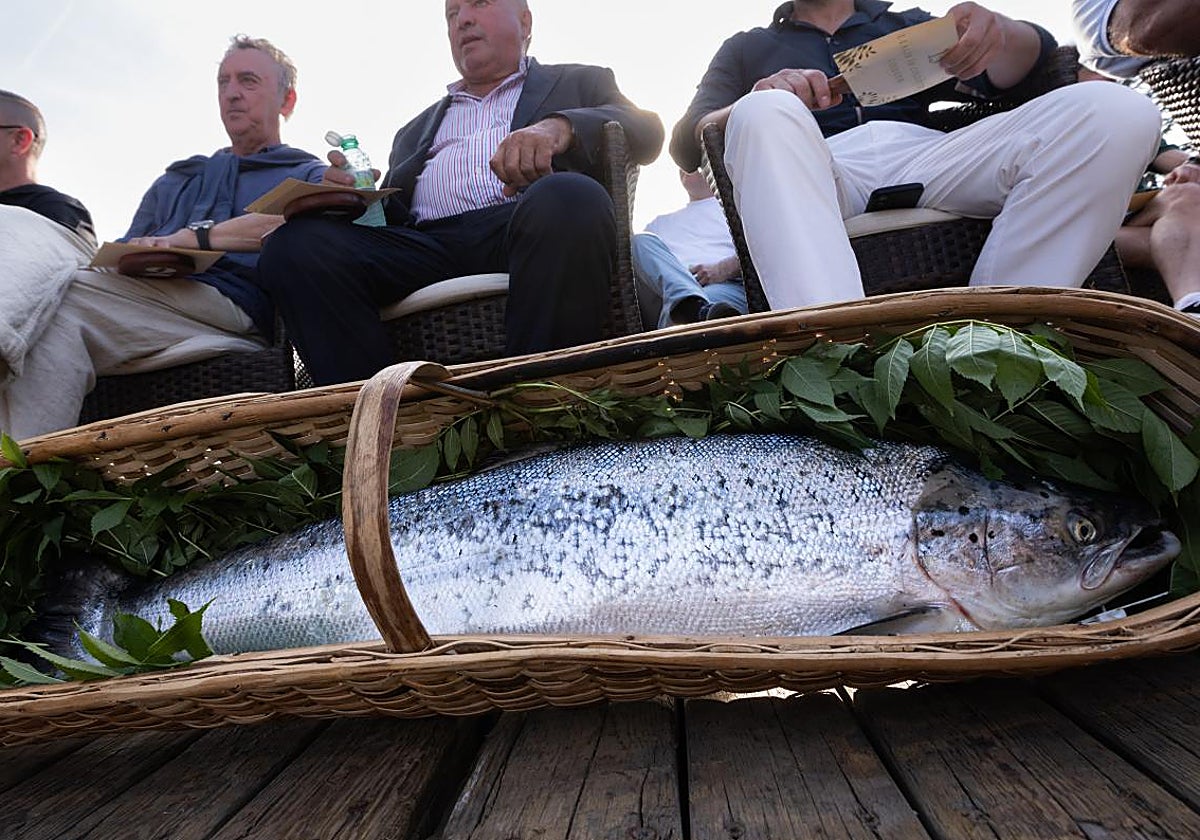 El 'campanu' tarda 31 días y dispara las alarmas: el salmón atlántico, en punto crítico