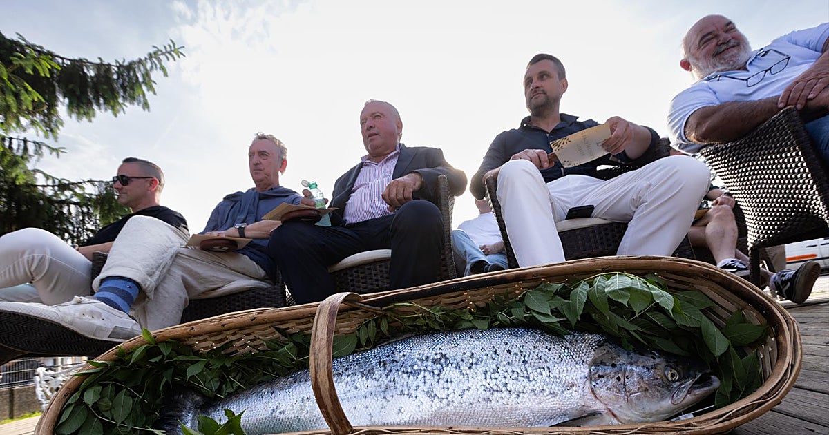 España se queda sin salmones: «Están en un punto crítico. En muy poco tiempo dejarán de aparecer en la Península»