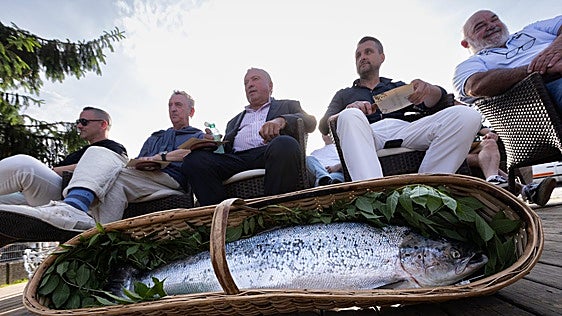 España se queda sin salmones: «Están en un punto crítico. En muy poco tiempo dejarán de aparecer en la Península»
