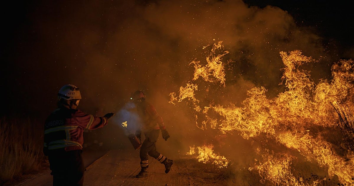 España crea un algoritmo de riesgo de incendios forestales que reduce la tasa de falsa alarma