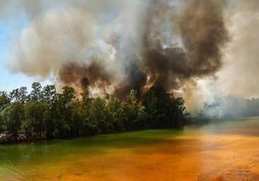Vista del incendio de Villanueva de los Castillejos