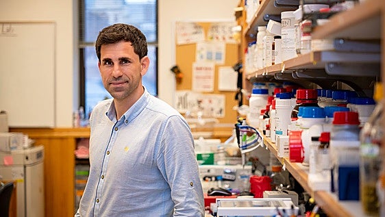 El científico que combate las superbacterias con IA: «Identificamos moléculas candidatas a antibióticos en solo horas, antes costaba décadas»