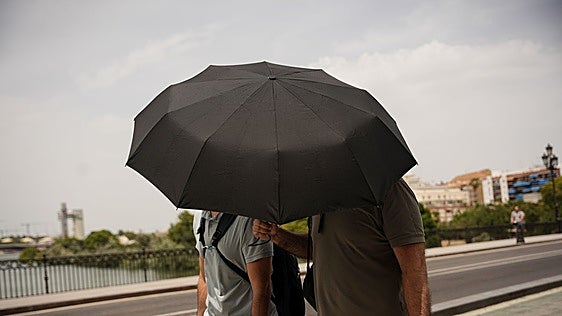Más grados, menos muertes: la resistencia de los españoles ante las olas de calor