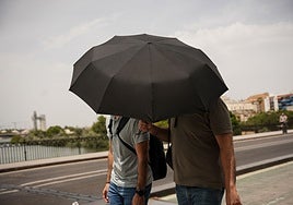 Más grados, menos muertes: la resistencia de los españoles ante las olas de calor