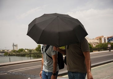Más grados, menos muertes: la resistencia ante las olas de calor