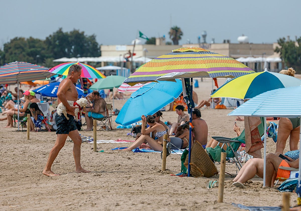 Lavar el táper en la ducha o cavar hoyos en la arena: las inesperadas multas que te pueden caer en la playa