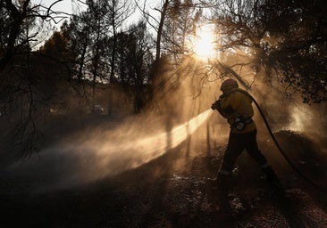 'Sequías por calor': por qué las lluvias ya no garantizan un año tranquilo en Europa