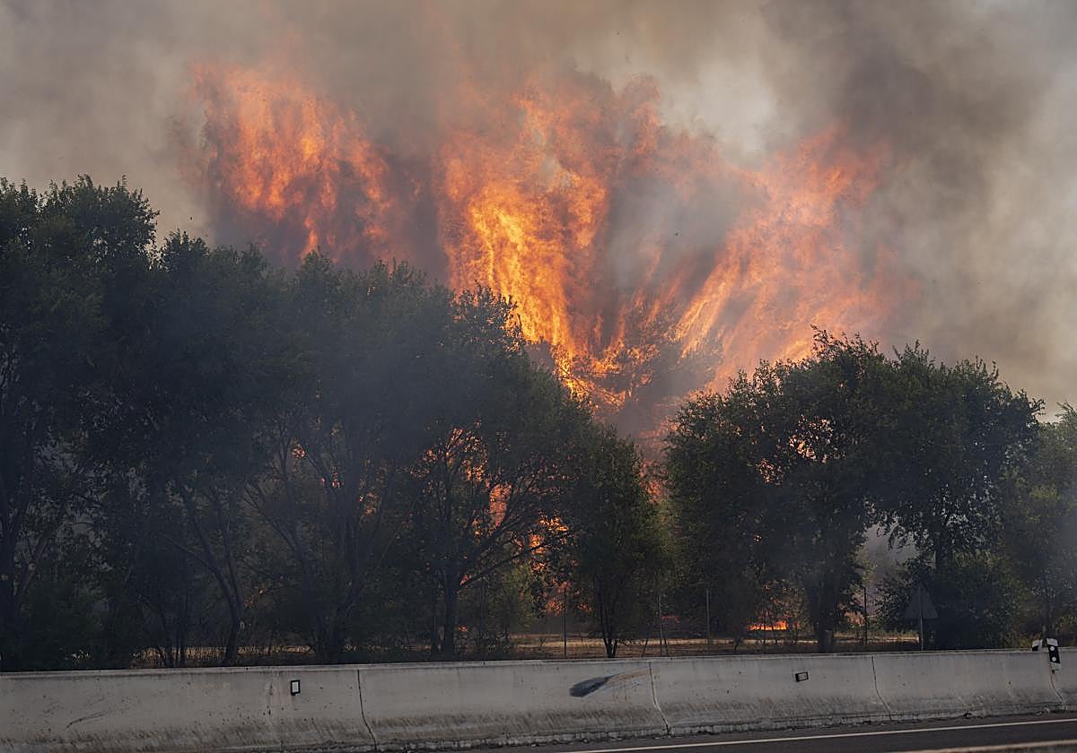 Los incendios mantienen en alerta a los bomberos de todo el país: Ávila, Zamora, Madrid, Guadalajara...