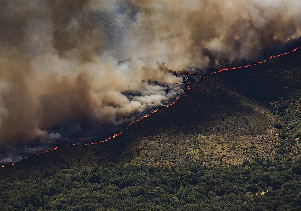 Los incendios en España en tiempo real