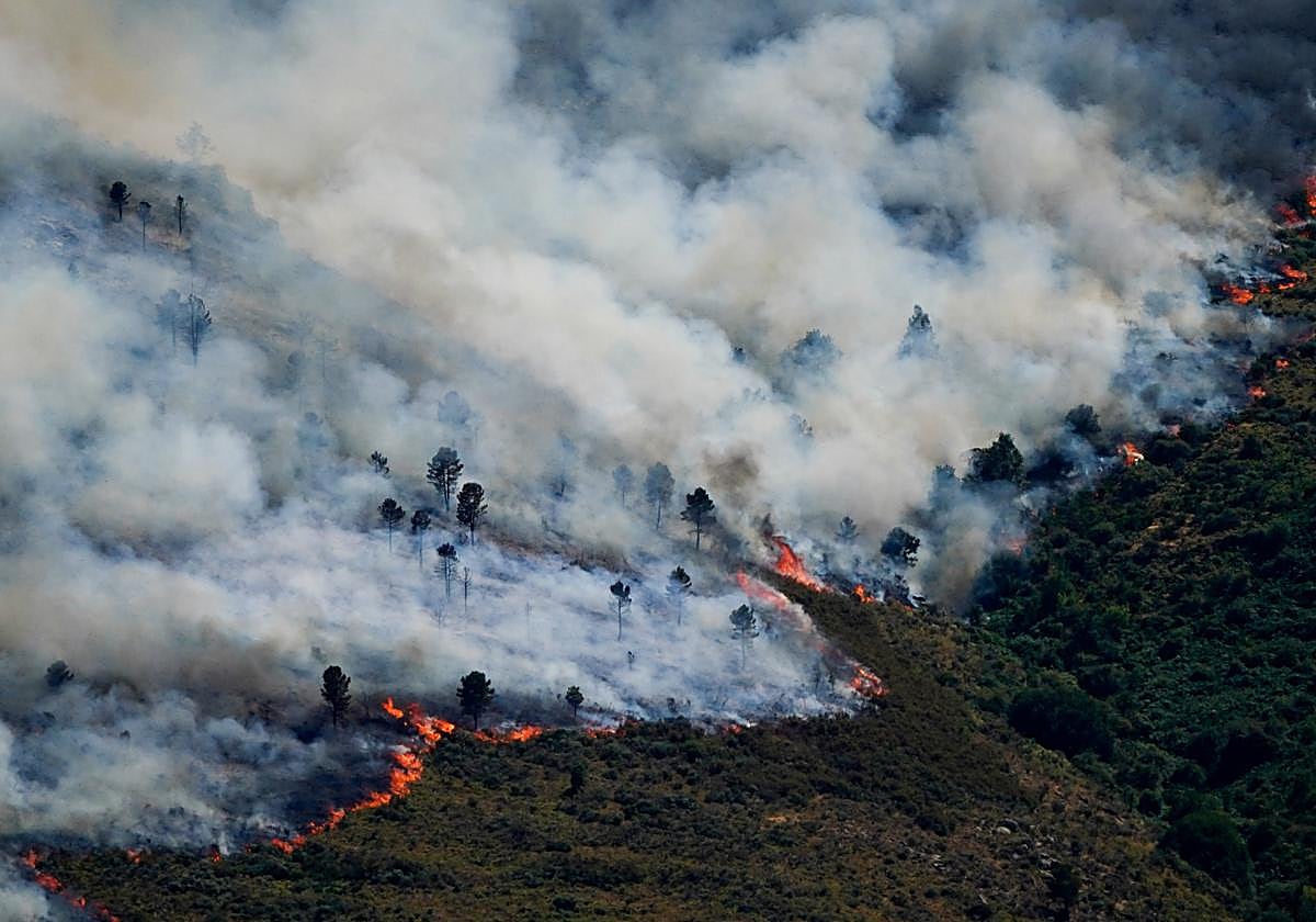 El Gobierno declara la emergencia de interés nacional en Madrid y Ávila por los incendios