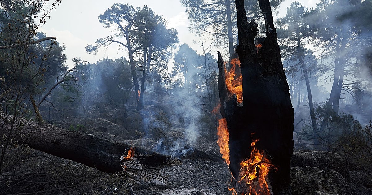 El fuego avanza sin control en Madrid y Ávila