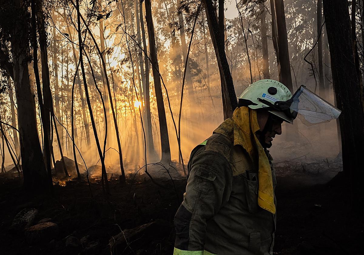 Ataque directo, indirecto o contrafuego: así luchan los bomberos contra las llamas