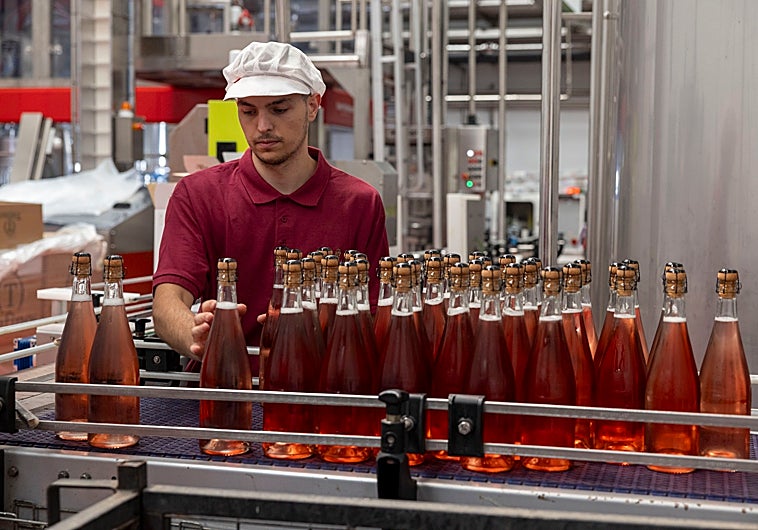 Imagen principal - Arriba, un operario en la bodega Emina (Matarromera) en la planta embotelladora de rosado espumoso sin alcohol. Abajo, un viñedo y una remesa de botellas en un jaulón. 