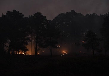 Fuego, rescates y evacuaciones: las imágenes que deja la extinción de los incendios en España