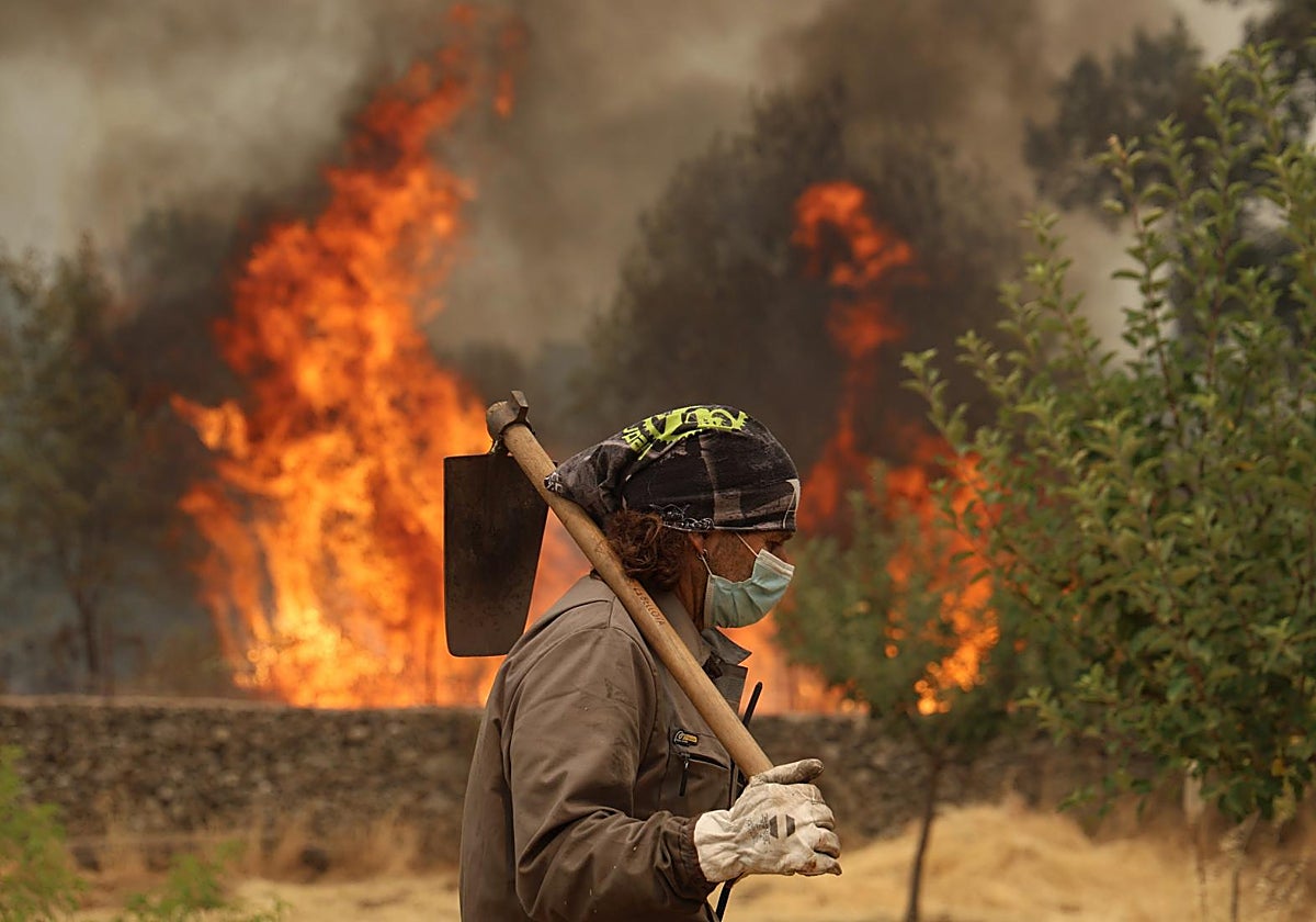 Incendio en la provincia de Ávila.