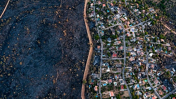 El paisaje forestal tras los incendios, visto desde el aire