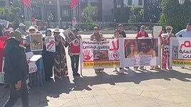 Activistas por los derechos de los animales protestan contra la ley sobre animales callejeros en Marruecos