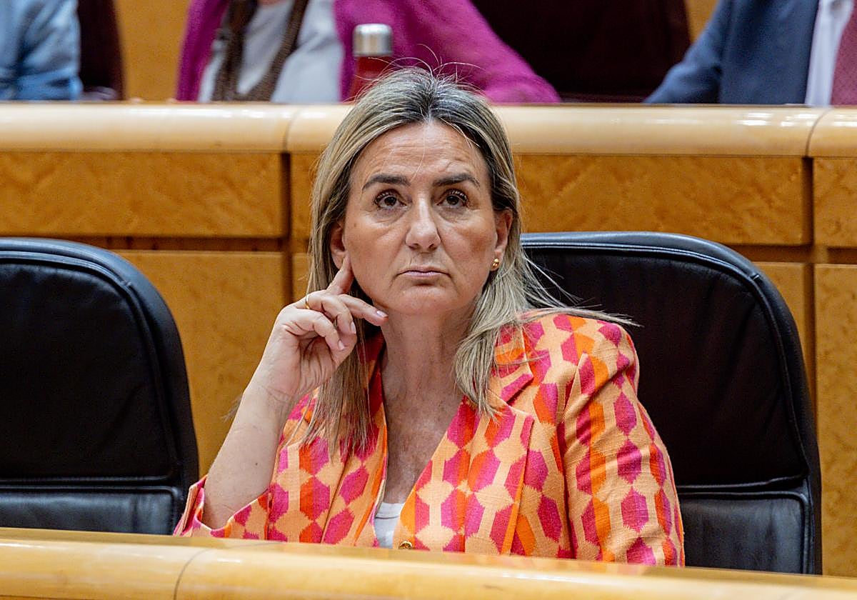 La ministra de Educación atribuye los malos resultados del informe PISA a la falta de comprensión lectora y lo relaciona con el uso de las pantallas