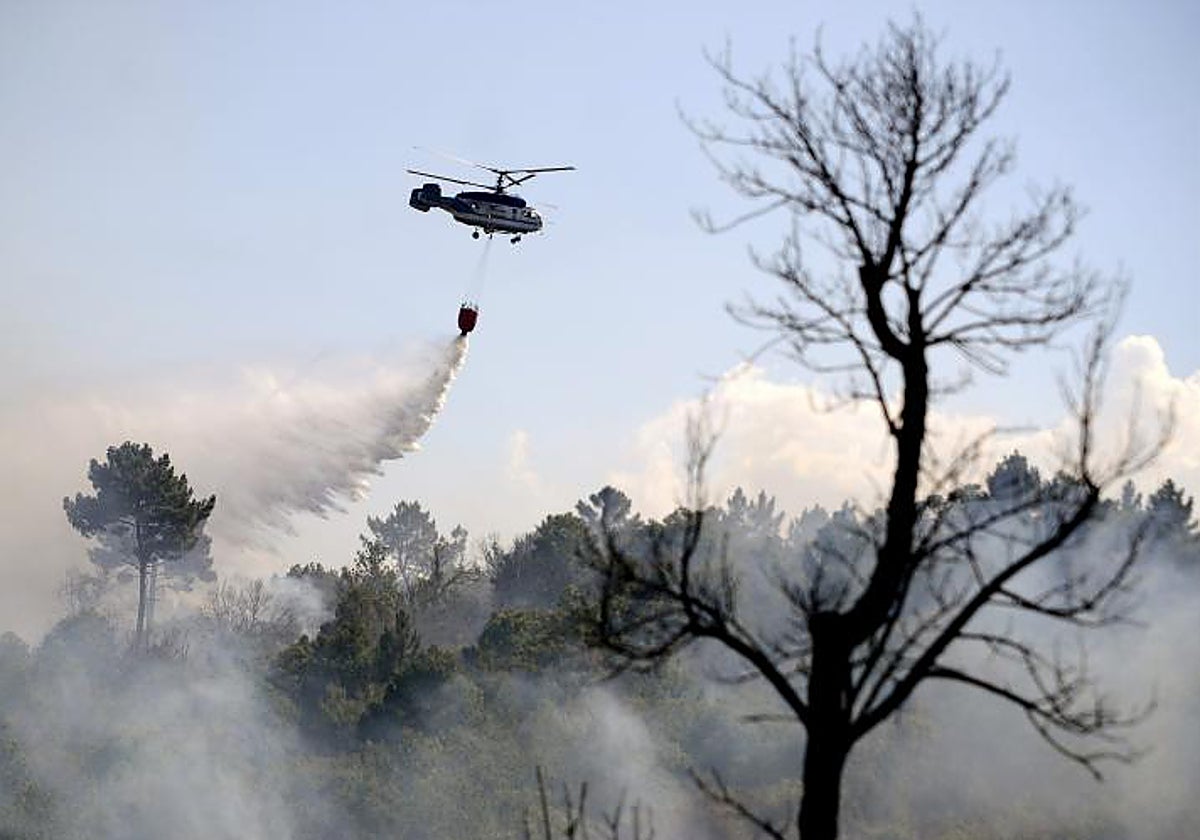 Los incendios forestales intencionados crecen: ya son uno de cada tres investigados por la Fiscalía