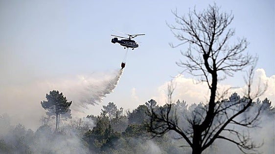 Los incendios forestales intencionados crecen: ya son uno de cada tres investigados por la Fiscalía