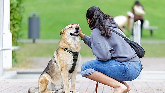 Uno de cada tres españoles piensa que los animales pueden «planificar sus acciones» como los humanos