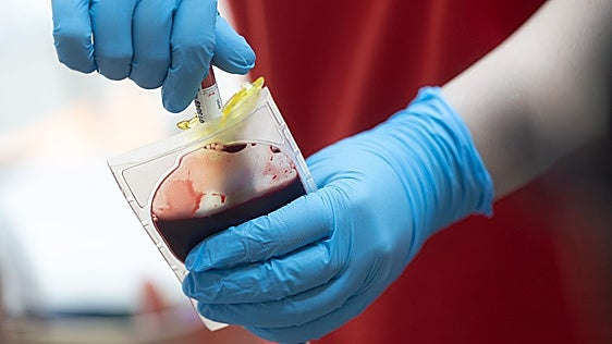 Los Testigos de Jehová cambian su doctrina y permiten recibir transfusiones de componentes de la sangre
