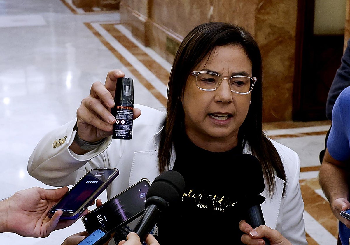 ¿Un espray de gas pimienta es un arma? Sí, y su venta es libre para mayores de 18