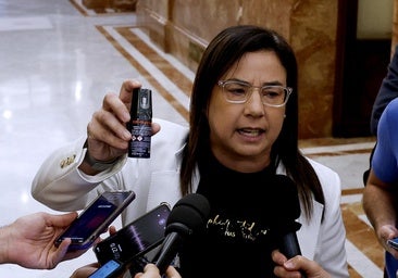 ¿Un espray de gas pimienta es un arma? Sí, y su venta es libre para mayores de 18