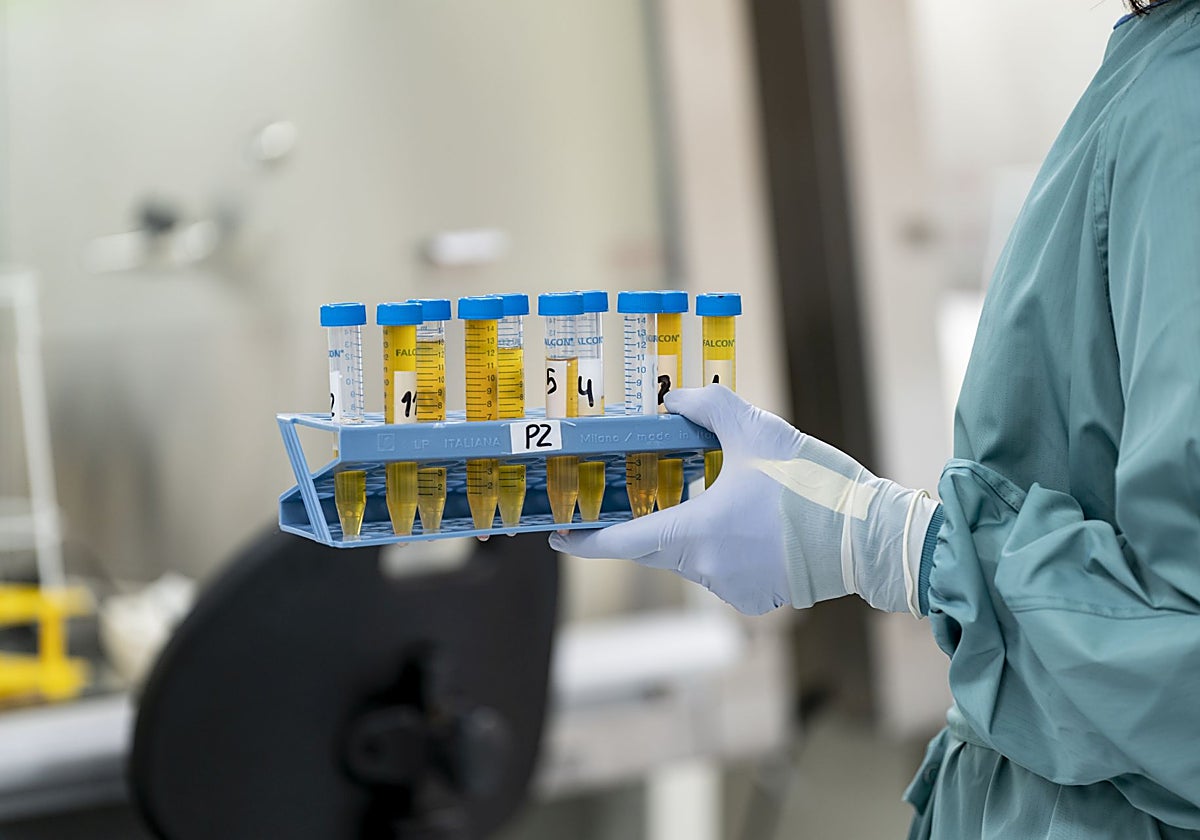 Las infecciones graves por gastroenteritis se disparan en los pacientes con déficit de anticuerpos