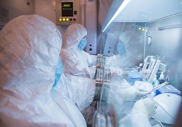 Claves del brote de peste en Rusia: ¿qué se sabe sobre la alerta sanitaria?