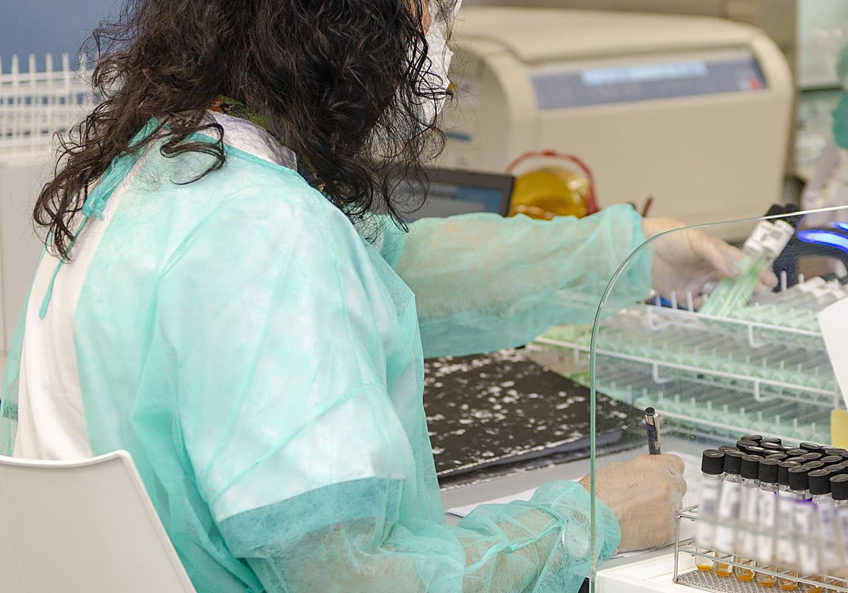 Francia registra la primera muerte por el virus shamonda, que hasta solo se había detectado en animales