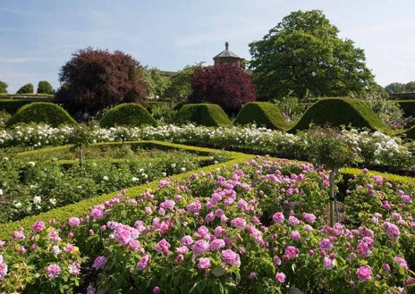 Imagen secundaria 1 - Los jardines de Houghton Hall, una de sus atracciones más populares.