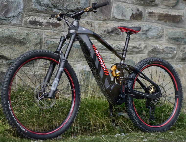 Audi Electric MTB